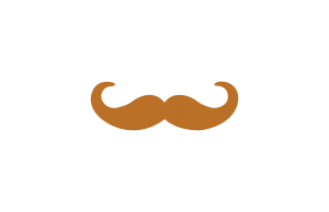 web development, web design, website, moustache design